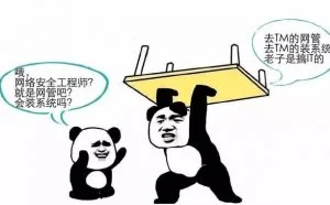 我可能是一个假的网络安全工程师