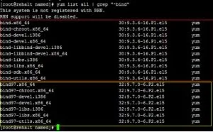 Linux 下搭建DNS服务器