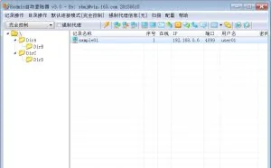 Radmin自动登录器v3.0-多国语言绿色版