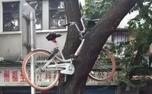 共享单车最新骗局曝光：小心你的钱没了