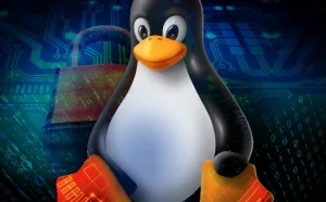 提高Linux安全:15步打造安全的Linux服务器