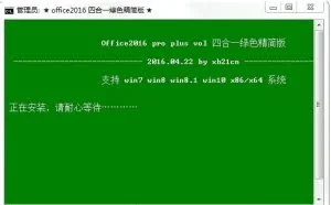 Office 2016绿色中文精简版四合一完美激活166MB
