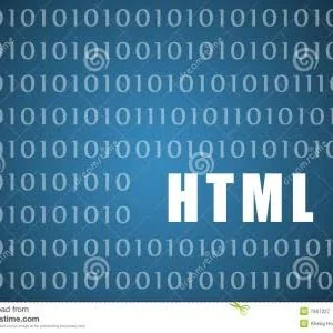 一页学会什么是HTML语言