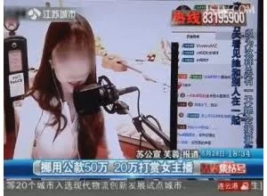 一女子辛苦攒下13万奶粉钱 被丈夫偷走全部打赏女主播_人物