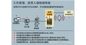 手机渗透SQL网站漏洞注入安全测试软件