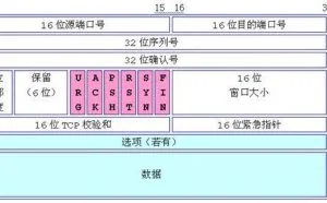 TCP/UDP/IP 报文格式