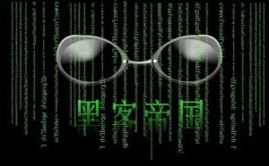 那些年，我们一起追过的“少年黑客”