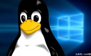 linux下web开发之环境搭建