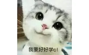 C语言——你值得拥有的一门“外语