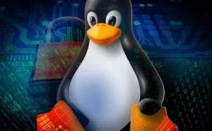 为什么IT运维工程师要学习Linux系统