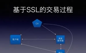 SSL加密技术：数据传输的网络安全使者