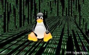 Linux渗透之反弹Shell