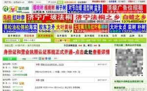 震撼：这种网站一年能赚几十上百万