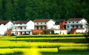 子女户口迁入城市，还能继承农村老家的宅基地和房屋吗？