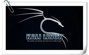 TOP10：白客和黑客们都喜欢用的Linux操作系统