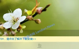 腾讯将停止更新QQ轻聊版并由腾讯TIM代替