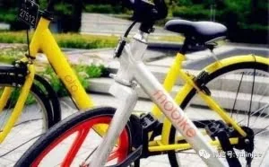 OFO、摩拜火了，专家预测下一个即将火爆的项目，你知道吗？