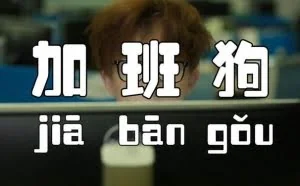 当你们羡慕IT程序员月薪两三万时，请看深圳这些科技公司的夜晚