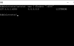 Windows Netstat 命令查看占用端口的进程ID