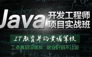 程序员：IT培训机构的套路