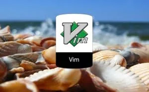 如何从 Vim 中访问 shell 或者运行外部命令
