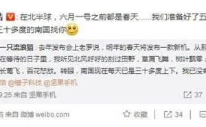 罗永浩暗示锤子新机备货充足：儿童节前都是春天