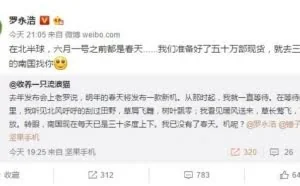 锤子新机现货五十万台 6月1日前肯定发