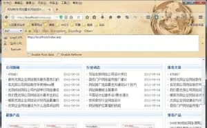 web安全审计入门