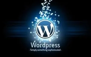 WordPress 远程代码执行/非授权重置密码漏洞