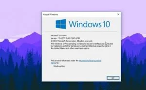 Windows 10四大版本共迎累积更新