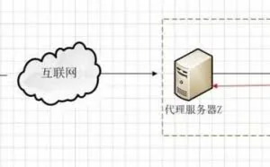 给你掰扯清楚什么是正向代理，什么是反向代理