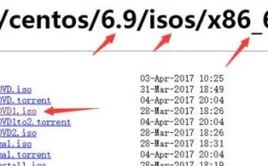 win10 64位下装Virtual Box安装Linux（centOS）配置联网