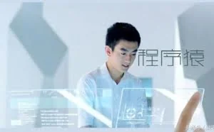 超级IT人才的简历