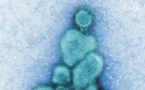 勒索病毒放缓出现新变种，那个杀毒软件管用？谁来背锅？