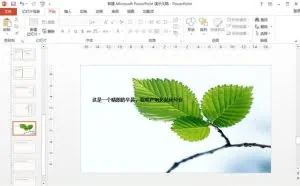 知道了这个小技巧，PPT里图片随便插