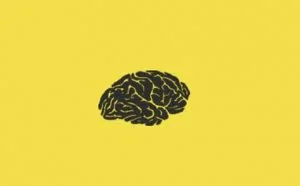 JavaScript 中的 10 个机器学习示例