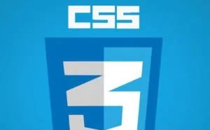 默认的input标签太丑？教你如何使用CSS写出带动画的样式
