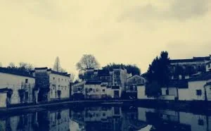 职场技术员工发财的五条路