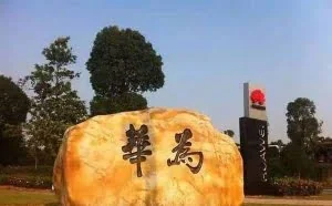 揭秘真实的华为，让全世界都害怕的企业，这才是真正的民族企业！