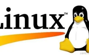 Linux常用命令之文件权限，文件特殊属性，打包压缩文件