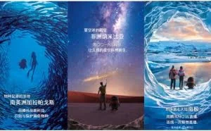 这只呆萌的企鹅，做了一个胆大包天的决定