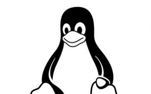 Linux工作中常用的实战命令 & 脚本，随拿随用，拿来即用