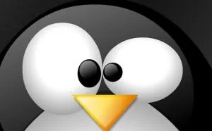 Linux 常用命令集合