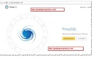 ProxySQL 介绍