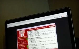 微软保护好你的数据，否则你真的“想哭” 解密“想哭”才能不哭