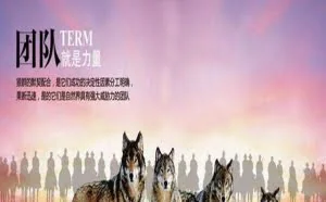 职场团队管理紧抓这3点，领导何愁带不出虎狼之师