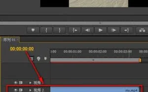Pr（premiere）怎样给视频打马赛克