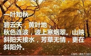 6种方法，让你告别PPT图文排版之痛