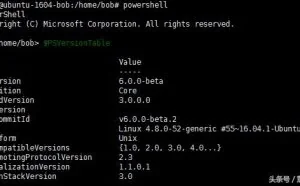 Ubuntu PowerShell 小白入门教程