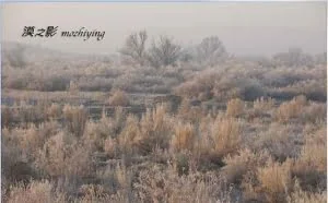 看到的美景，你拍到了吗？用PS解决！
